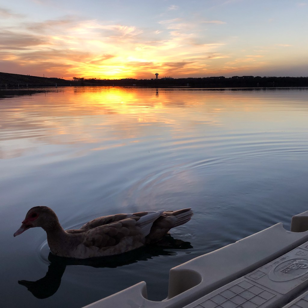 Trusting God Is&nbsp;Hard